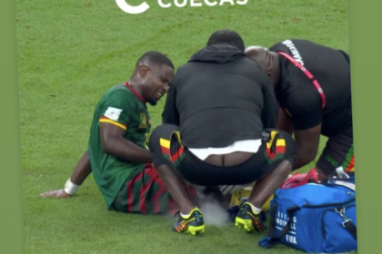 cofrinho massagista camarões